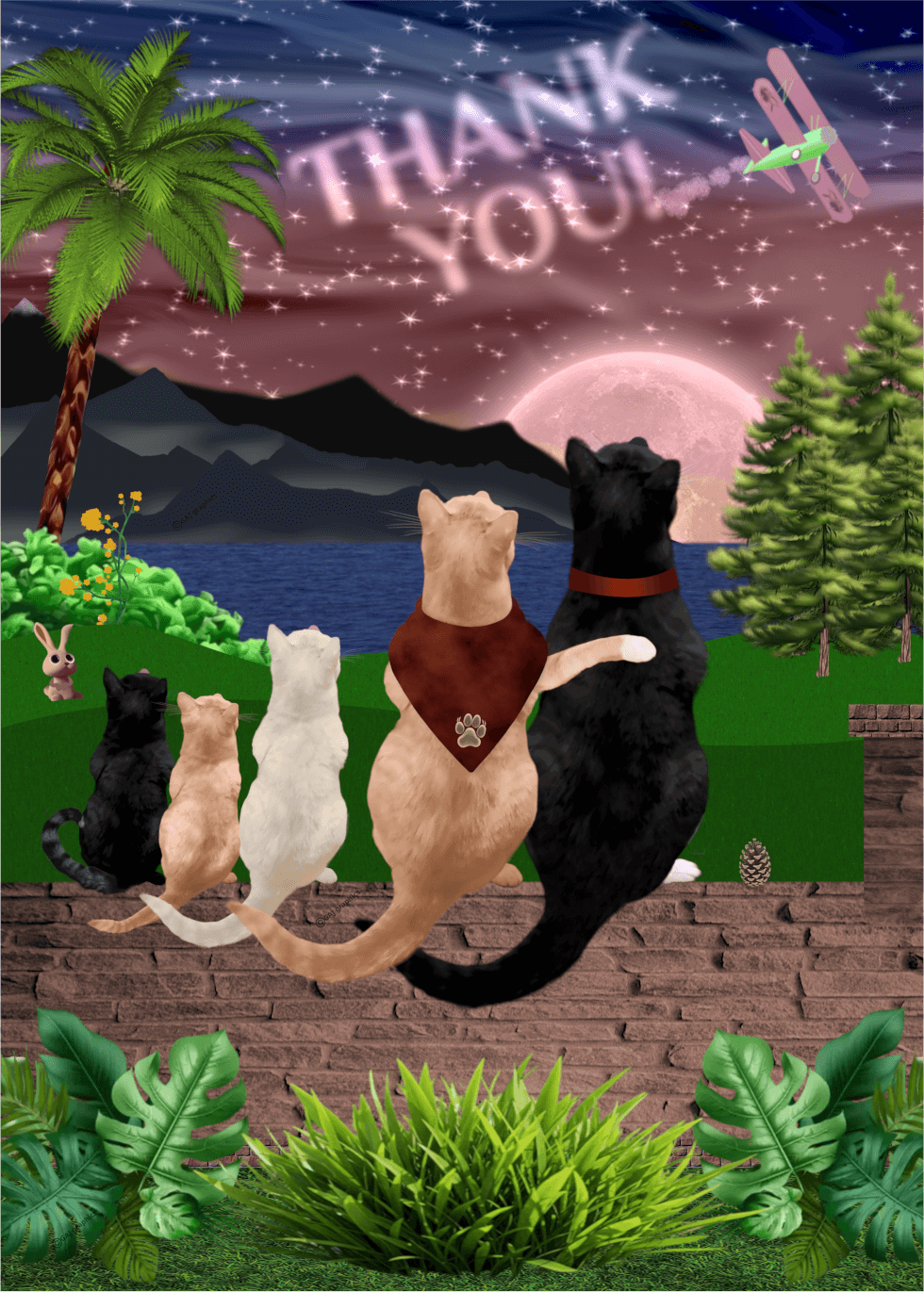 five cats sitting on a wall looking at a plane skywriting the words thank you